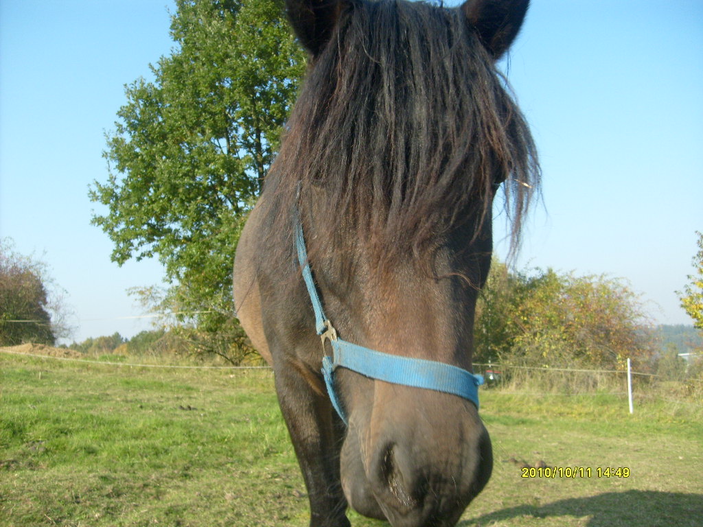 Koňouchové 5íjen 2010 010