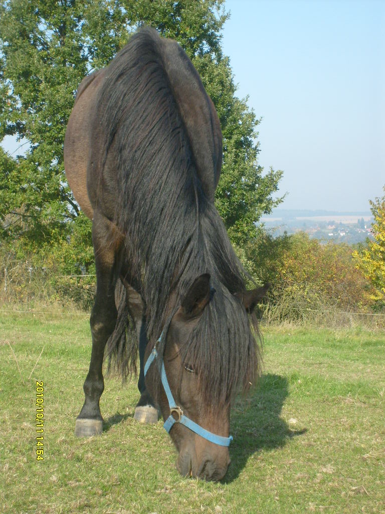 Koňouchové 5íjen 2010 042