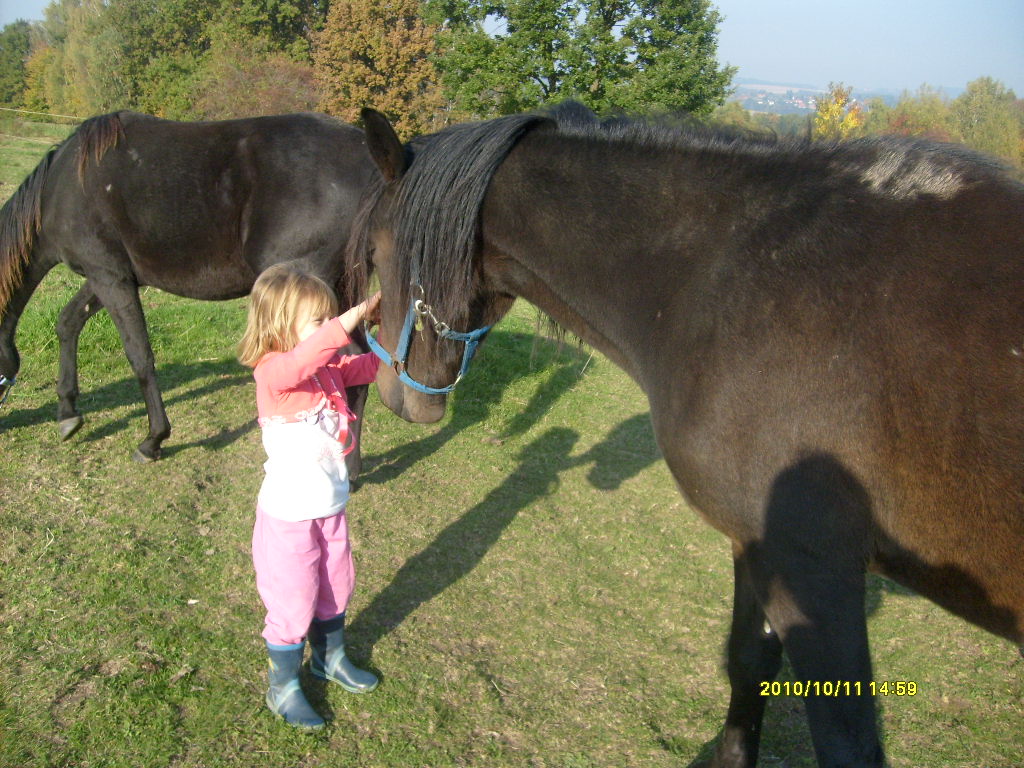 Koňouchové 5íjen 2010 075