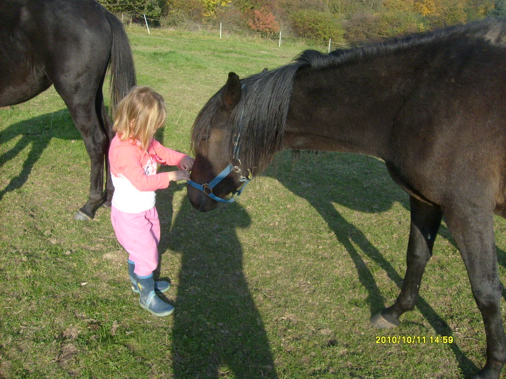 Koňouchové 5íjen 2010 077